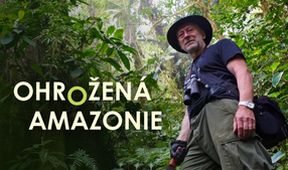 Ohrožená Amazonie, Kamera na cestách (3/3)