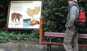 Městské safari