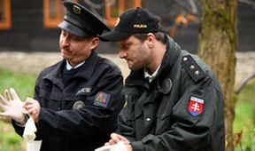 Strážmistr Topinka