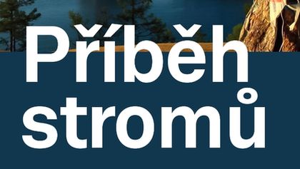 Příběh stromů (2)