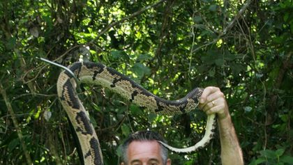 Deset nejnebezpečnějších hadů III (3)