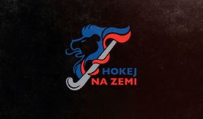 Hokej na zemi, Pozemní hokej