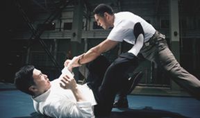 Ip Man 4: The Finale