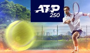 ATP250: BOSS Open (finále dvouhry)