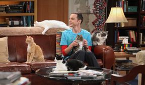 The Big Bang Theory