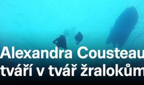 Alexandra Cousteau tváří v tvář žralokům