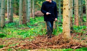Wallander III