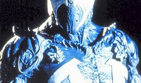 Spawn