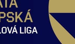 Česko - Finsko, Volejbal