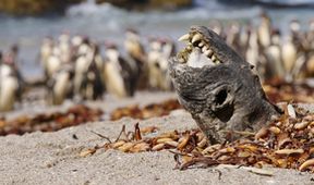 Peru: Divoké bojiště (2)