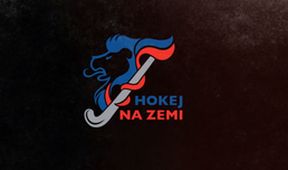 Hokej na zemi, Pozemní hokej