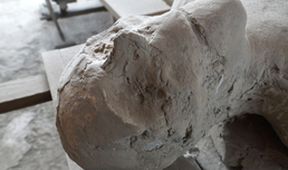 Pompeje: Tajemství zkamenělých těl