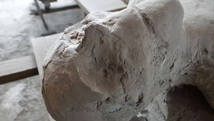 Pompeje: Tajemství zkamenělých těl