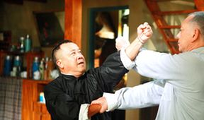 Ip Man: Poslední boj