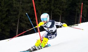 SP Česko, Travní lyžování