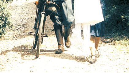 Stín kapradiny