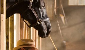 Ruffian