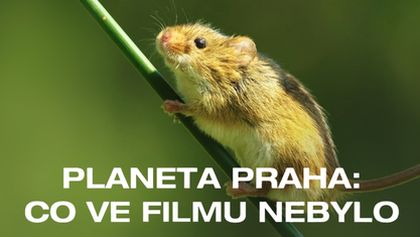 Planeta Praha: co ve filmu nebylo