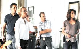 Hawaii 5-0 III (4)