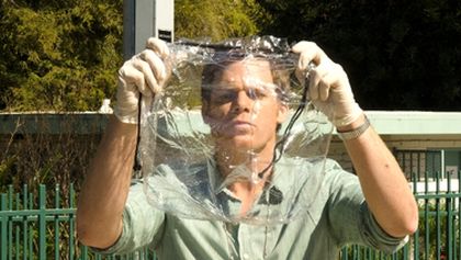 Dexter VIII (3)