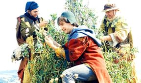 O králi, hvězdáři, kejklíři a třech muzikantech