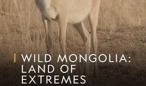 Divoké Mongolsko: země extrémů (2)