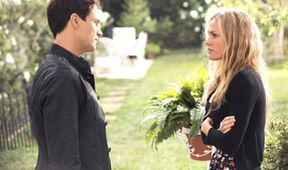True Blood - Pravá krev VI (7)