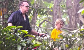 Hawaii 5-0 III (9)
