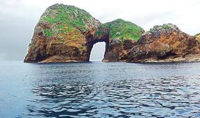 Nový Zéland: Souostroví Poor Knights Islands