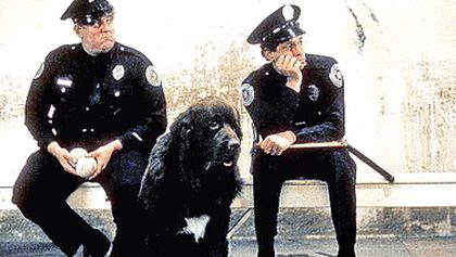 Policejní akademie
