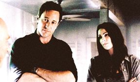 Hawaii 5-0 III (20)