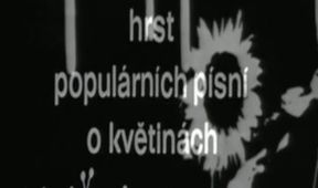 Květomluva