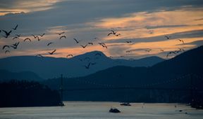 Velké a šílené rodinné dobrodružství (9)