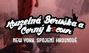 Kouzelná Beruška a Černý Kocour: New York, Spojení Hrdinové