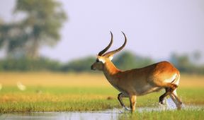 Velkolepá Afrika (1)