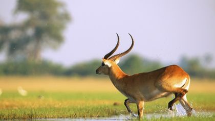 Velkolepá Afrika (1)