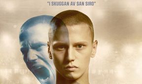 Tygři