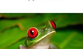 Divoké příšery: Děsivá stvoření
