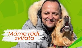 Máme rádi zvířata
