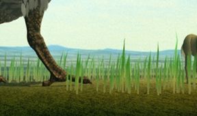 Ohrožená biodiverzita - fakta o vymírání druhů
