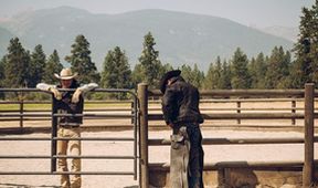 Yellowstone (8)