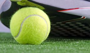 Czech Indoor Cup, Tenis