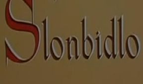 Princezna Slonbidlo