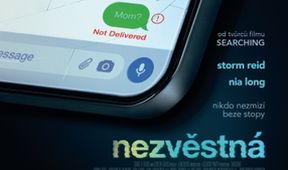 Nezvěstná