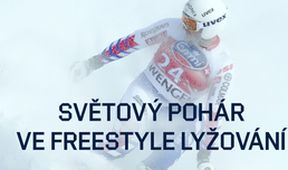 SP Švýcarsko, Freestyle lyžování