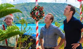 Hawaii Five-O III (17/24)