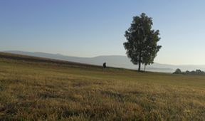 Pouť krkonošská
