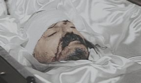 Apokalypsa Stalin: Pán světa