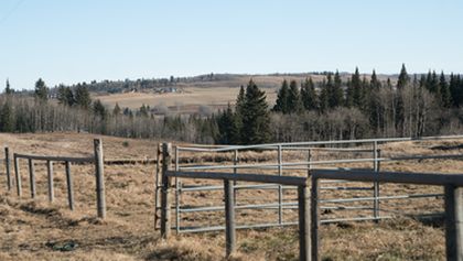 Ranč Heartland X (16)