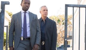 Bosch II (8/10)